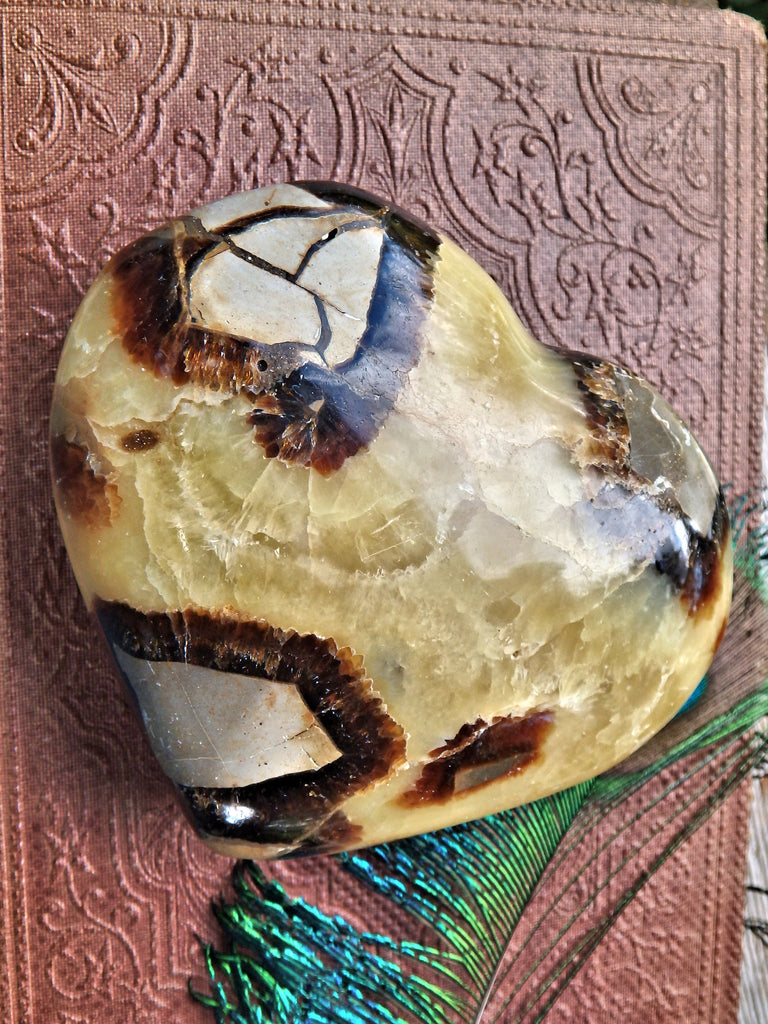 Dragon Heart Septarian Carving From Madagascar - Earth Family Crystals