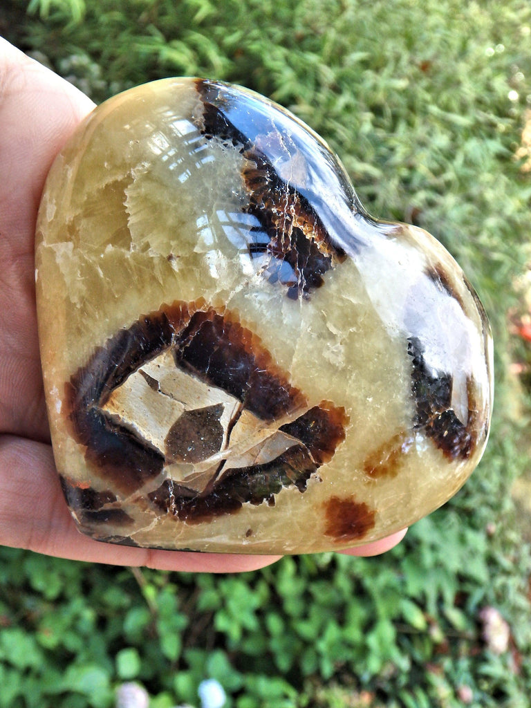 Dragon Heart Septarian Carving From Madagascar - Earth Family Crystals