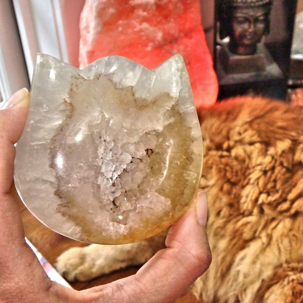 Adorable Druzy Geode Hematoid Quartz  Precious Cat Head Carving - Earth Family Crystals