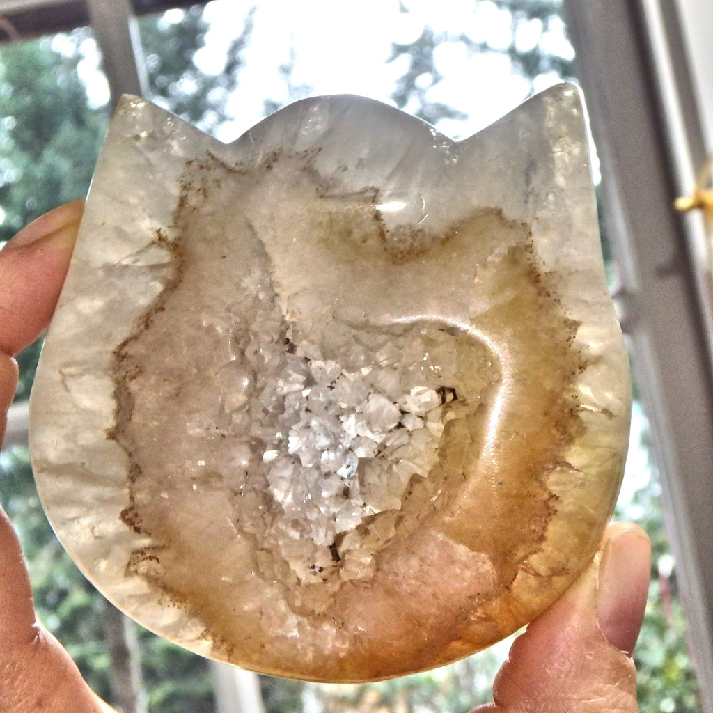 Adorable Druzy Geode Hematoid Quartz  Precious Cat Head Carving - Earth Family Crystals