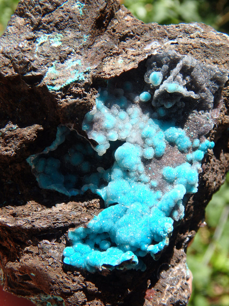 Pretty Blue Druzy on Matrix Hemimorphite Specimen - Earth Family Crystals