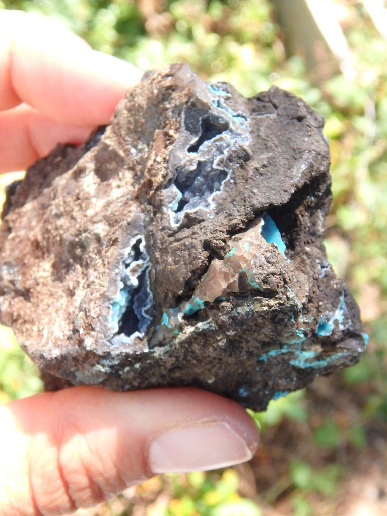 Pretty Blue Druzy on Matrix Hemimorphite Specimen - Earth Family Crystals