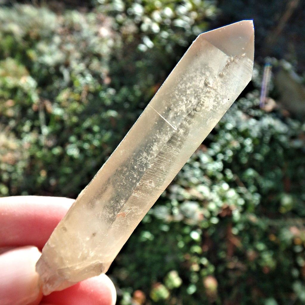 Natural Citrine Quartz Point From The Congo - Earth Family Crystals