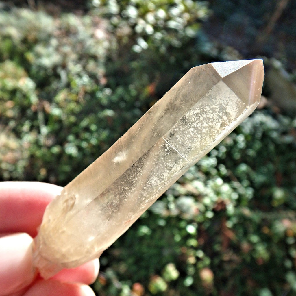 Natural Citrine Quartz Point From The Congo - Earth Family Crystals