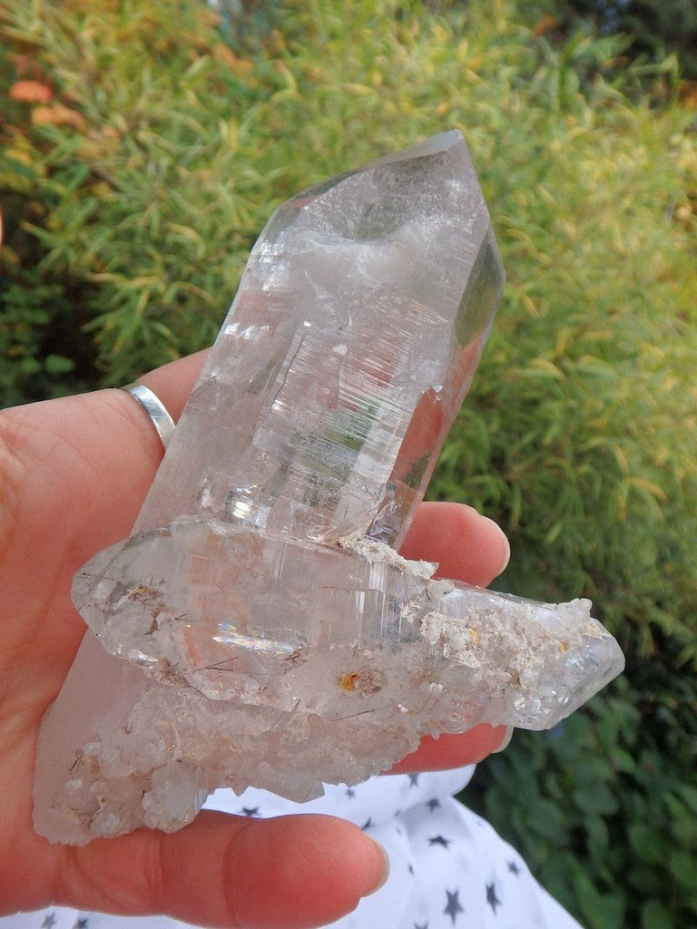 One of a Kind Large Rainbow Filled Himalayan Quartz With Intertwined DT Rutilated Point & Babies With Self Healing - Earth Family Crystals