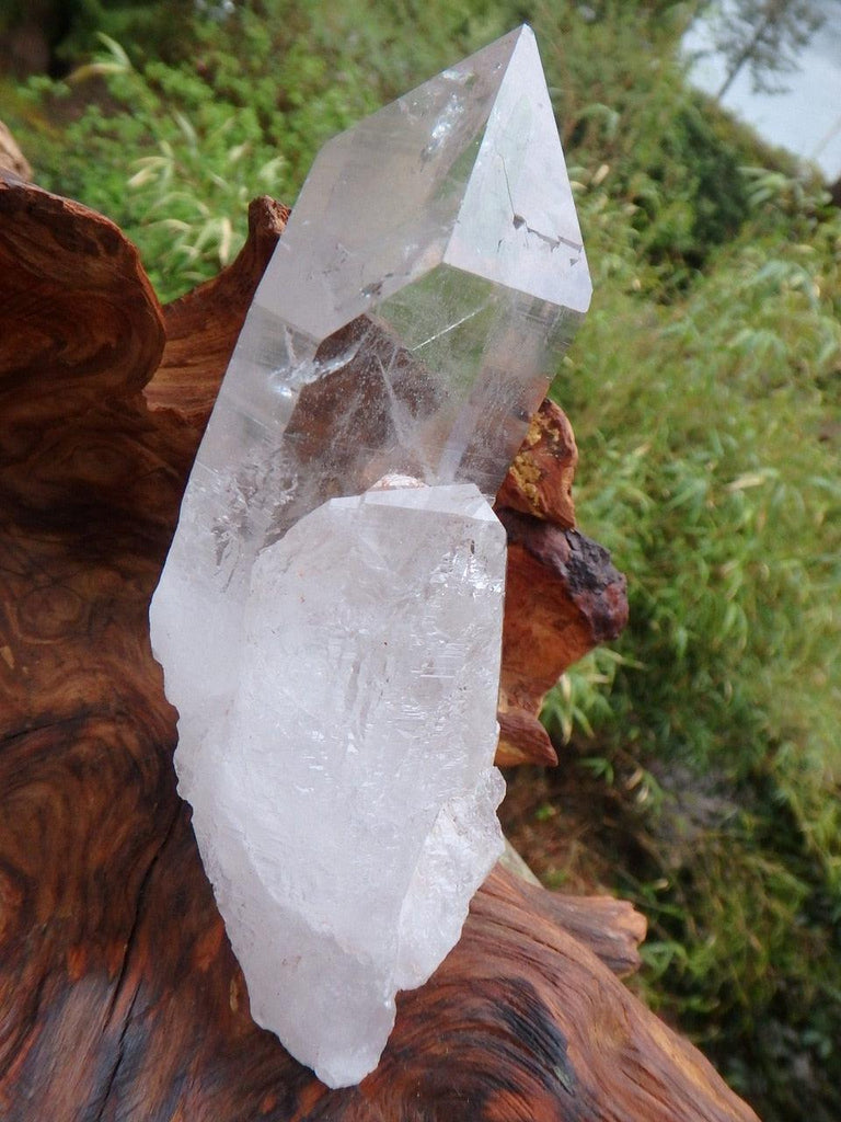 Fabulous Lustrous Large Himalayan Quartz With Inner Child Point & Self Healing - Earth Family Crystals