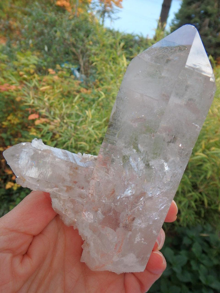 One of a Kind Large Rainbow Filled Himalayan Quartz With Intertwined DT Rutilated Point & Babies With Self Healing - Earth Family Crystals