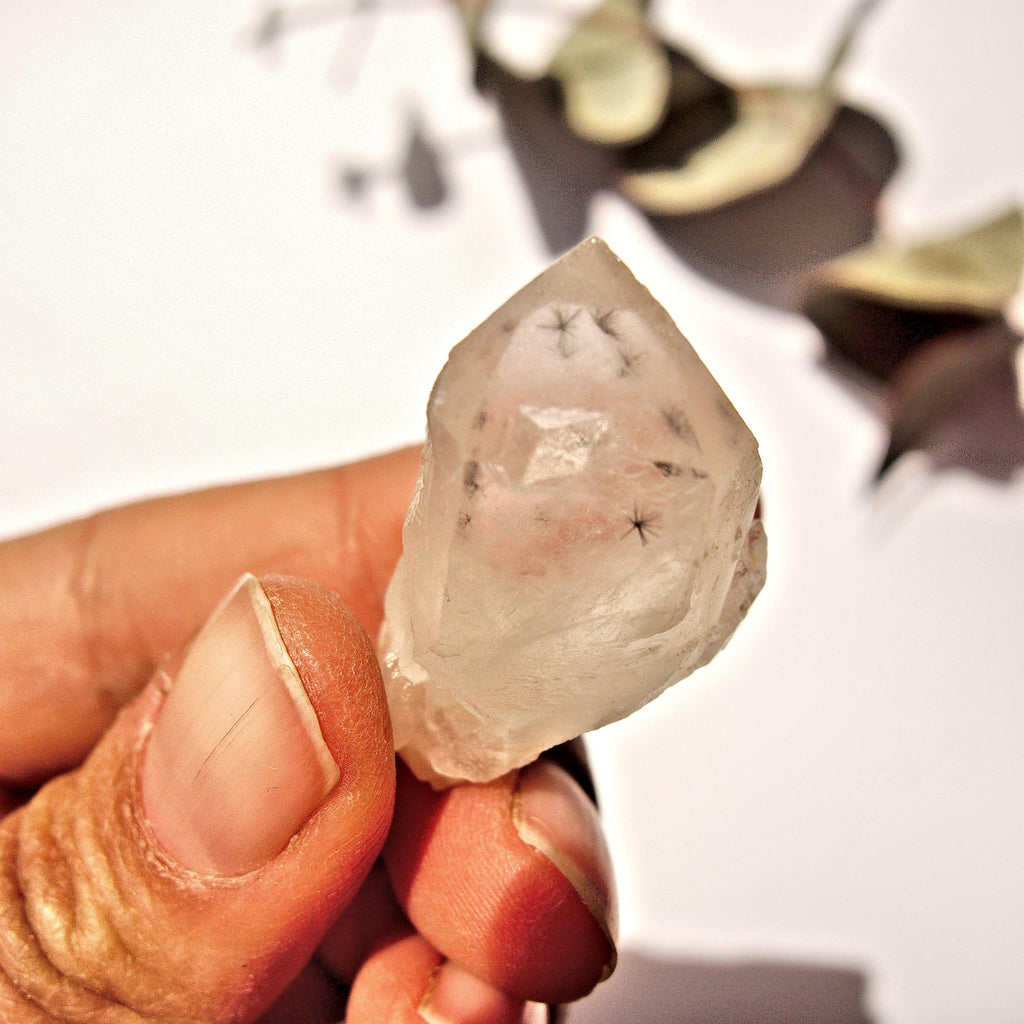 Very Rare Elestial Star Hollandite Quartz Collectors Specimen From Madagascar - Earth Family Crystals