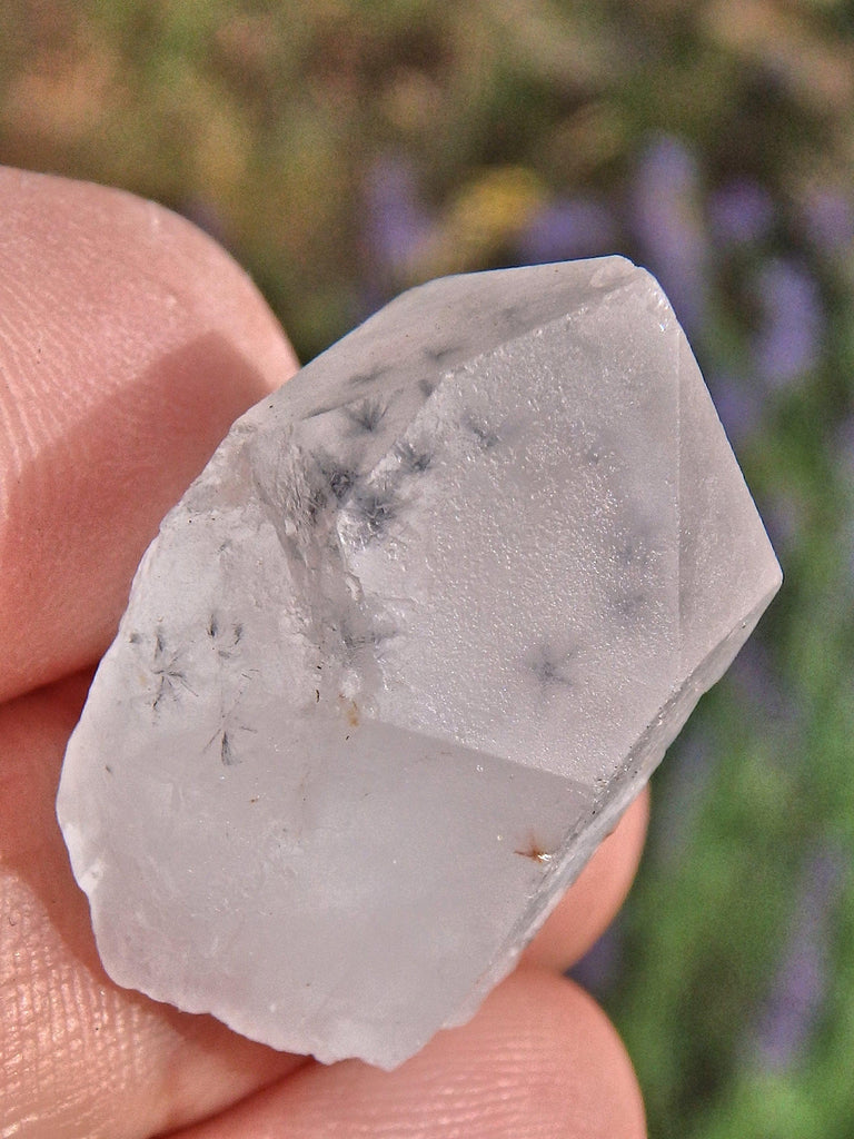 Rare & Powerful~Star Hollandite Quartz Dainty Point From Madagascar 1 - Earth Family Crystals