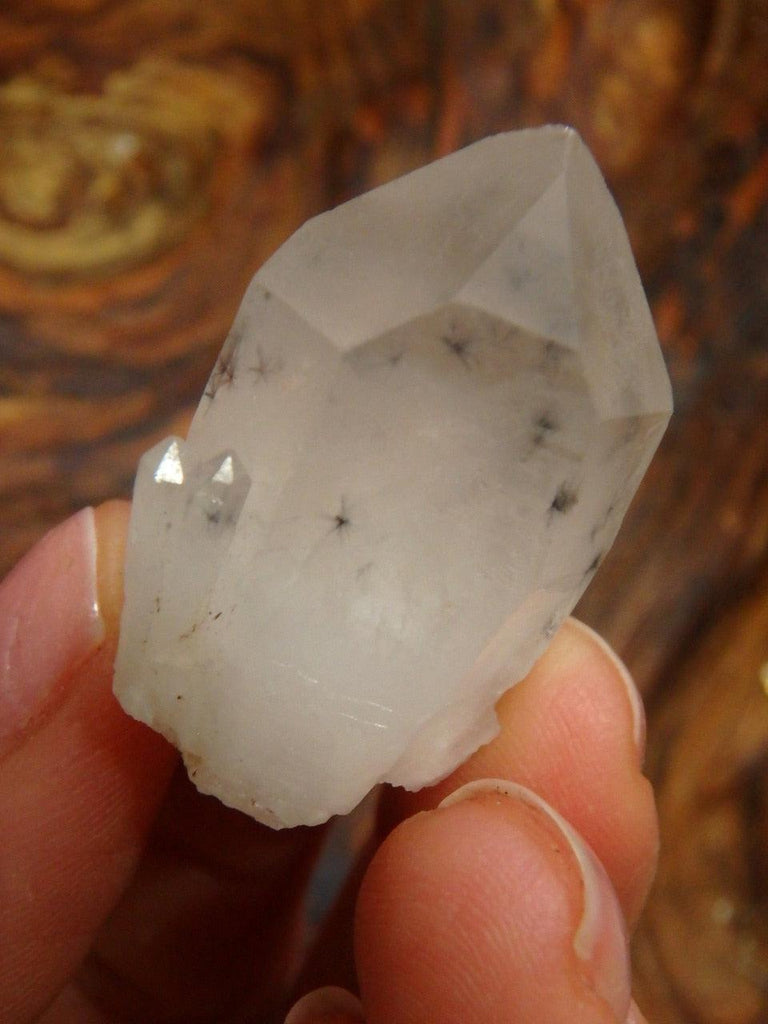RARE! Amazing Hollandite Star Quartz Point Collectors Specimen From Madagascar - Earth Family Crystals