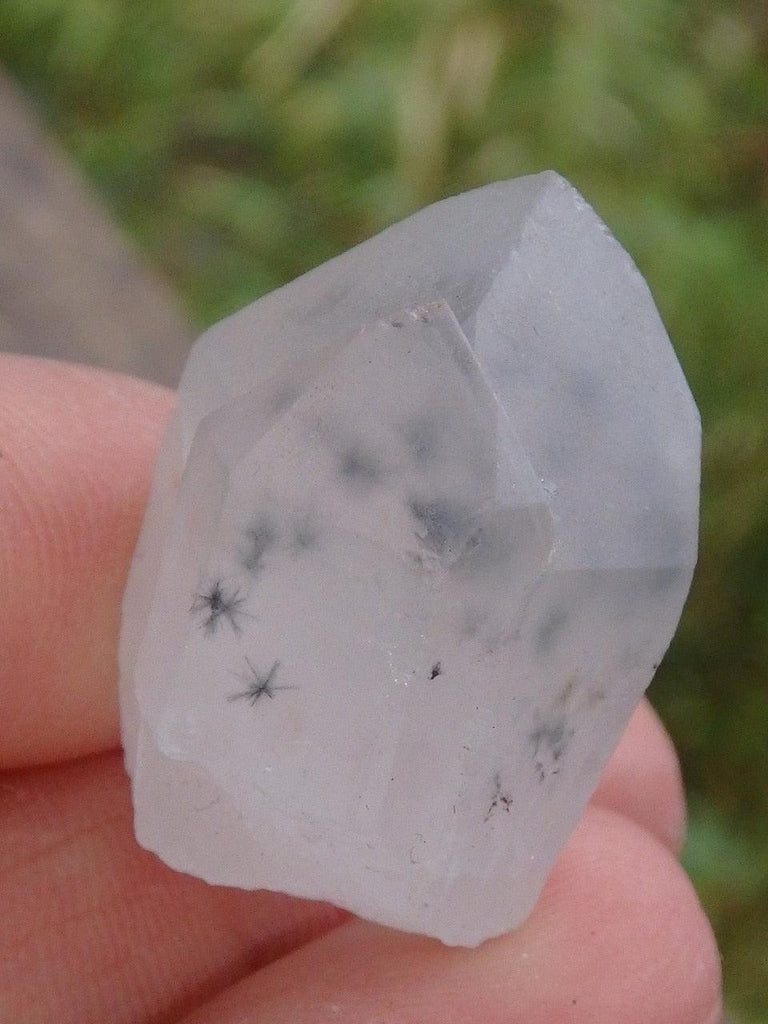 Very Rare! Double Point Hollandite Star Quartz Collectors Specimen - Earth Family Crystals