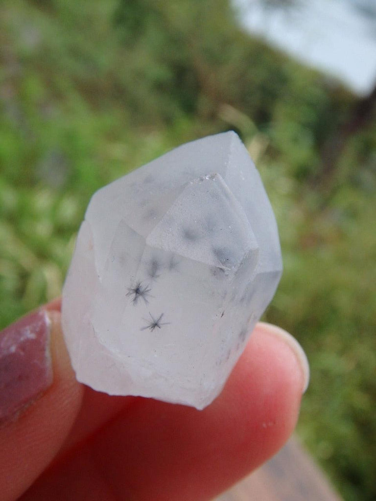 Very Rare! Double Point Hollandite Star Quartz Collectors Specimen - Earth Family Crystals