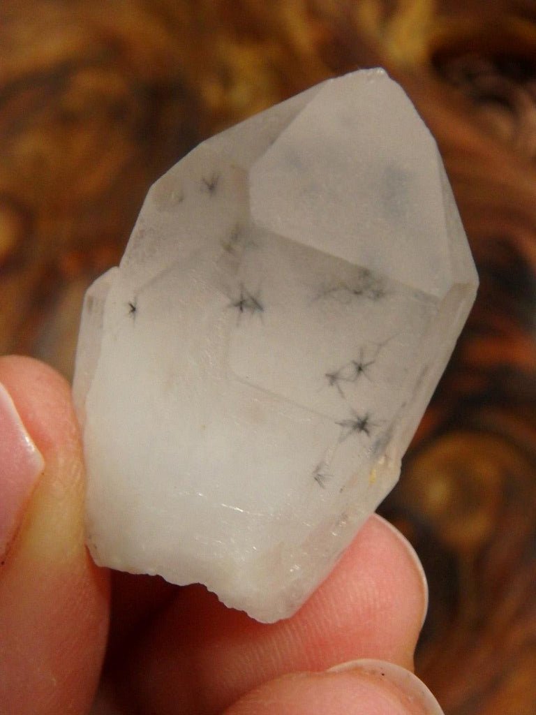 RARE! Amazing Hollandite Star Quartz Point Collectors Specimen From Madagascar - Earth Family Crystals