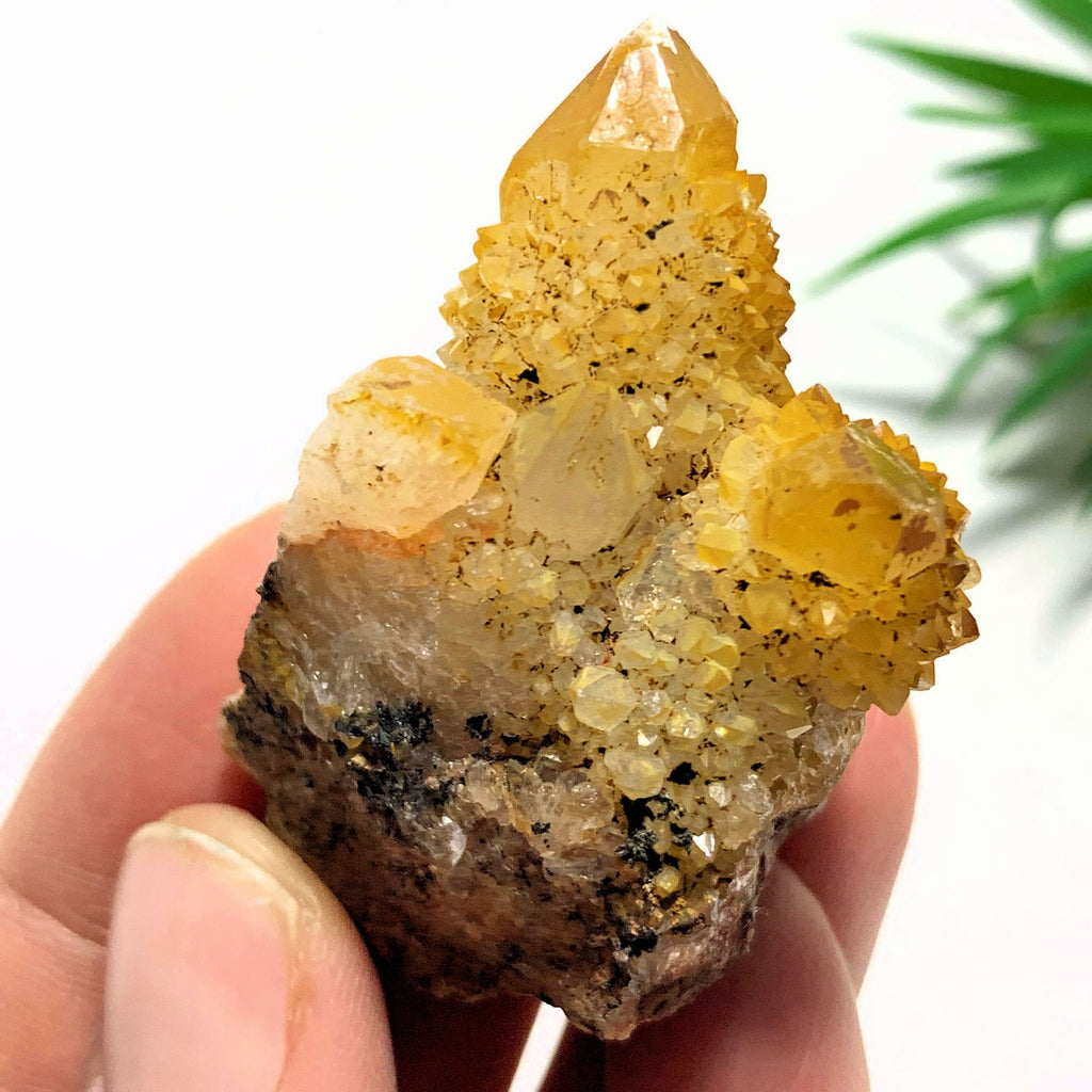 Golden Citrine Spirit Quartz Natural Cluster from S.Africa - Earth Family Crystals