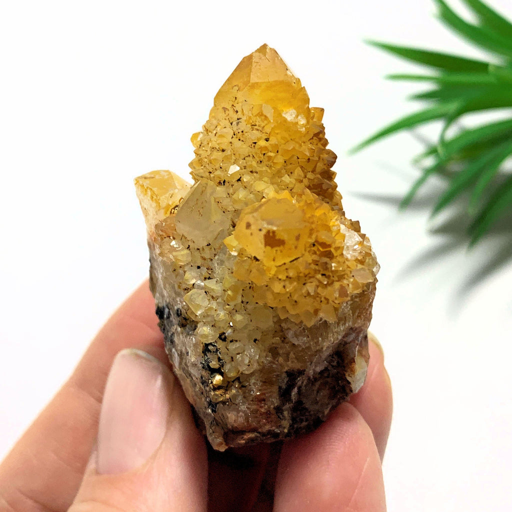 Golden Citrine Spirit Quartz Natural Cluster from S.Africa - Earth Family Crystals