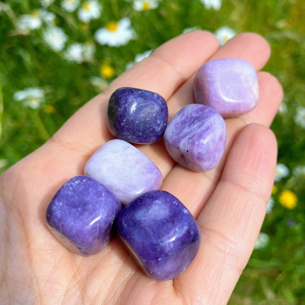 Set of 6 ~Lilac Lepidolite Tumbled Stone Crystal Set (Perfect for Crystal Grids) - Earth Family Crystals