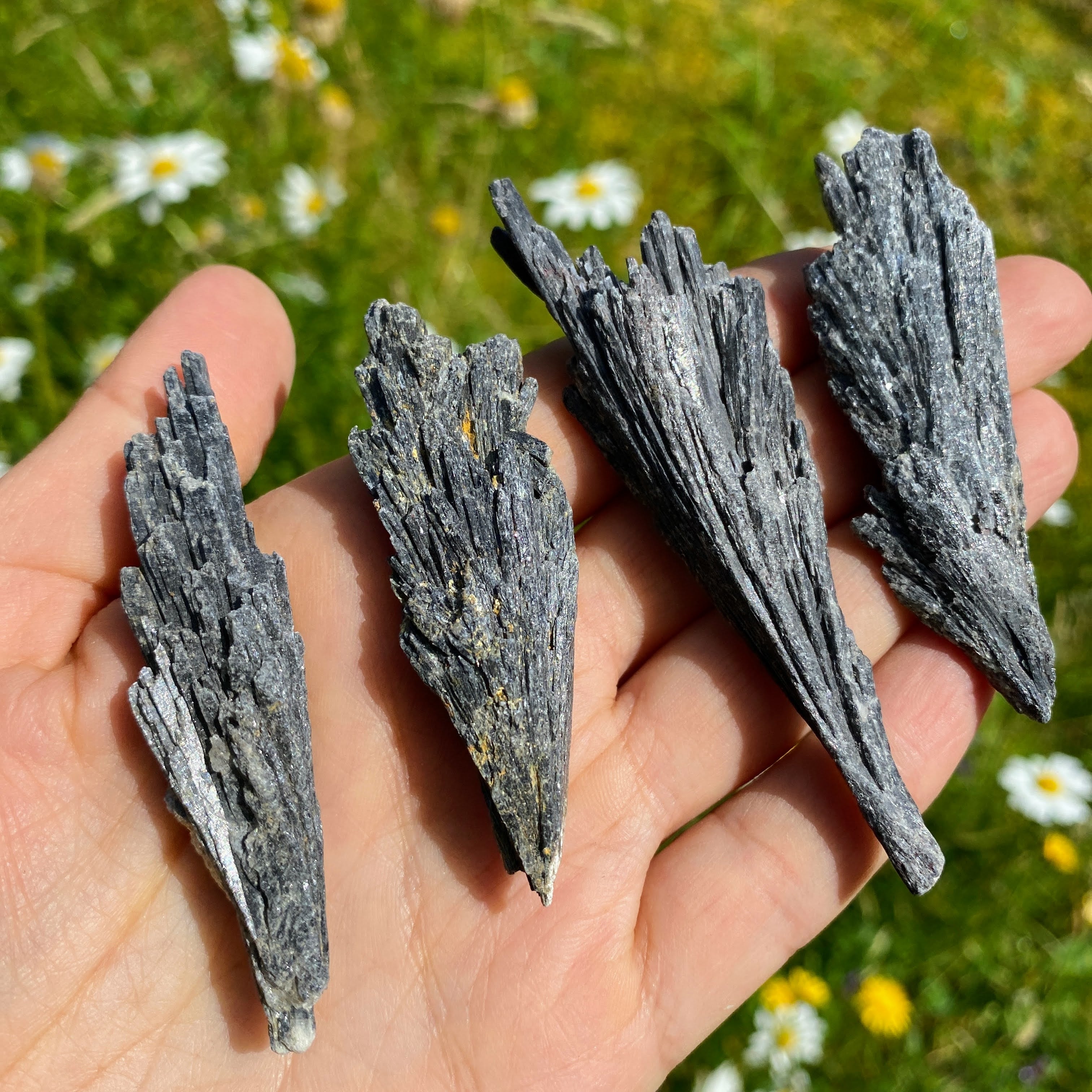 ONE Natural  Black Kyanite Fan Specimen - Earth Family Crystals