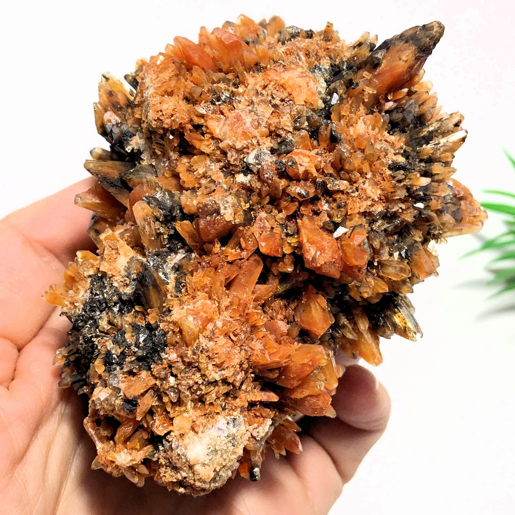 Beautiful Color Contrast Large & Rare Creedite Specimen~Locality Mexico - Earth Family Crystals