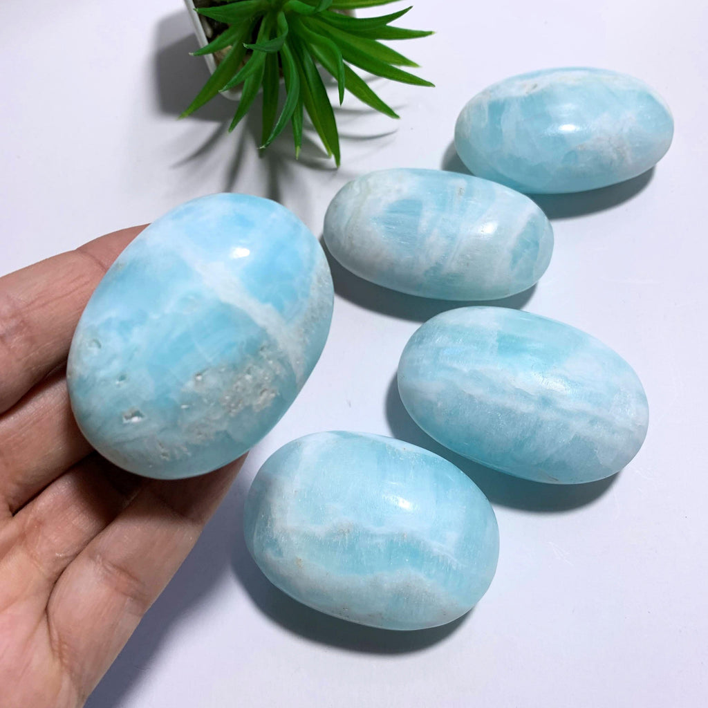 One Caribbean Calcite Medium Soothing Blue Palm Stone - Earth Family Crystals