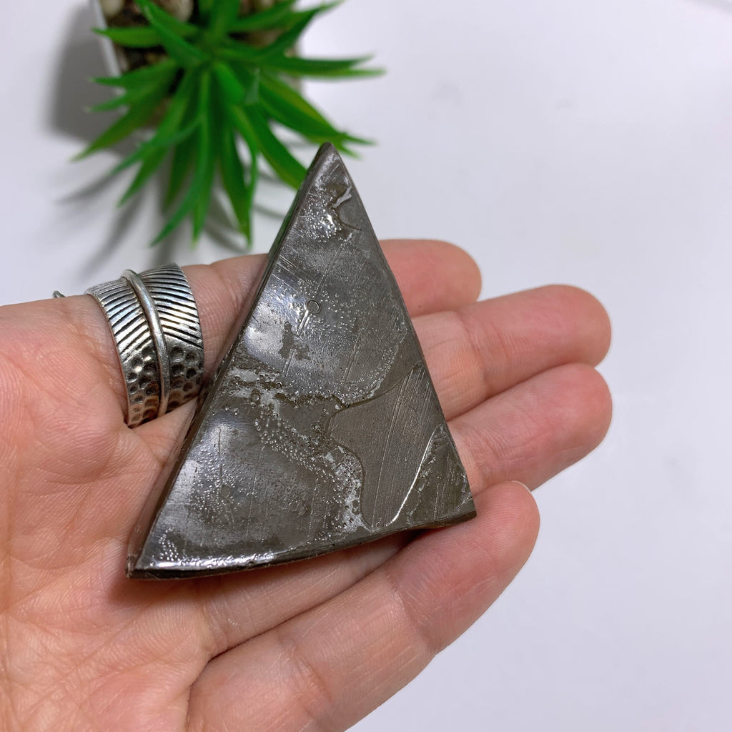 Alberta Ammolite Fossil Free Form Hand Held Specimen #1 - Earth Family Crystals