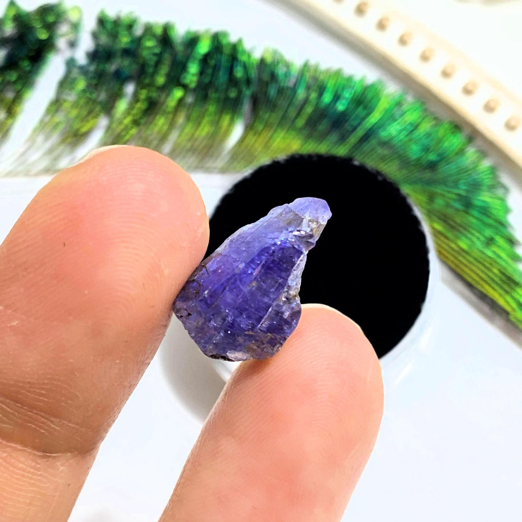 7.5 CT Terminated Gemmy Natural Tanzanite Specimen in Collectors Box - Earth Family Crystals