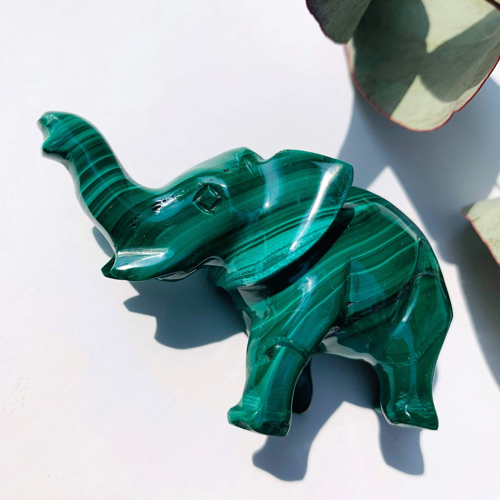 Cute Malachite Elephant Carving REDUCED* - Earth Family Crystals