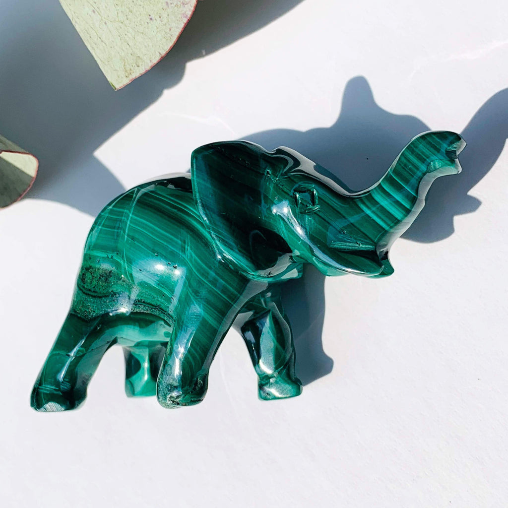 Cute Malachite Elephant Carving REDUCED* - Earth Family Crystals