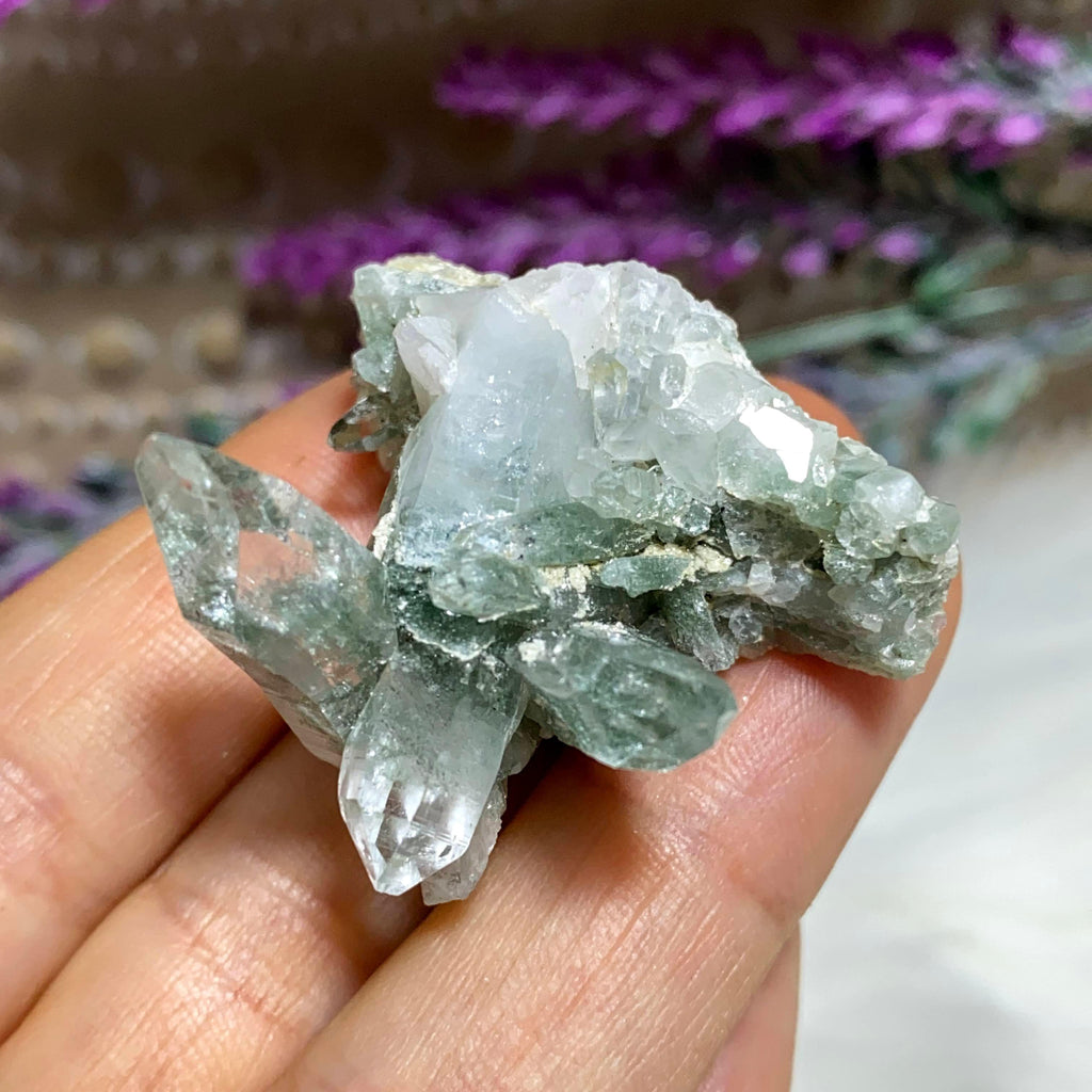 Rare Green Samadhi Himalayan Quartz Intricate Cluster ~Locality: Himalayas - Earth Family Crystals