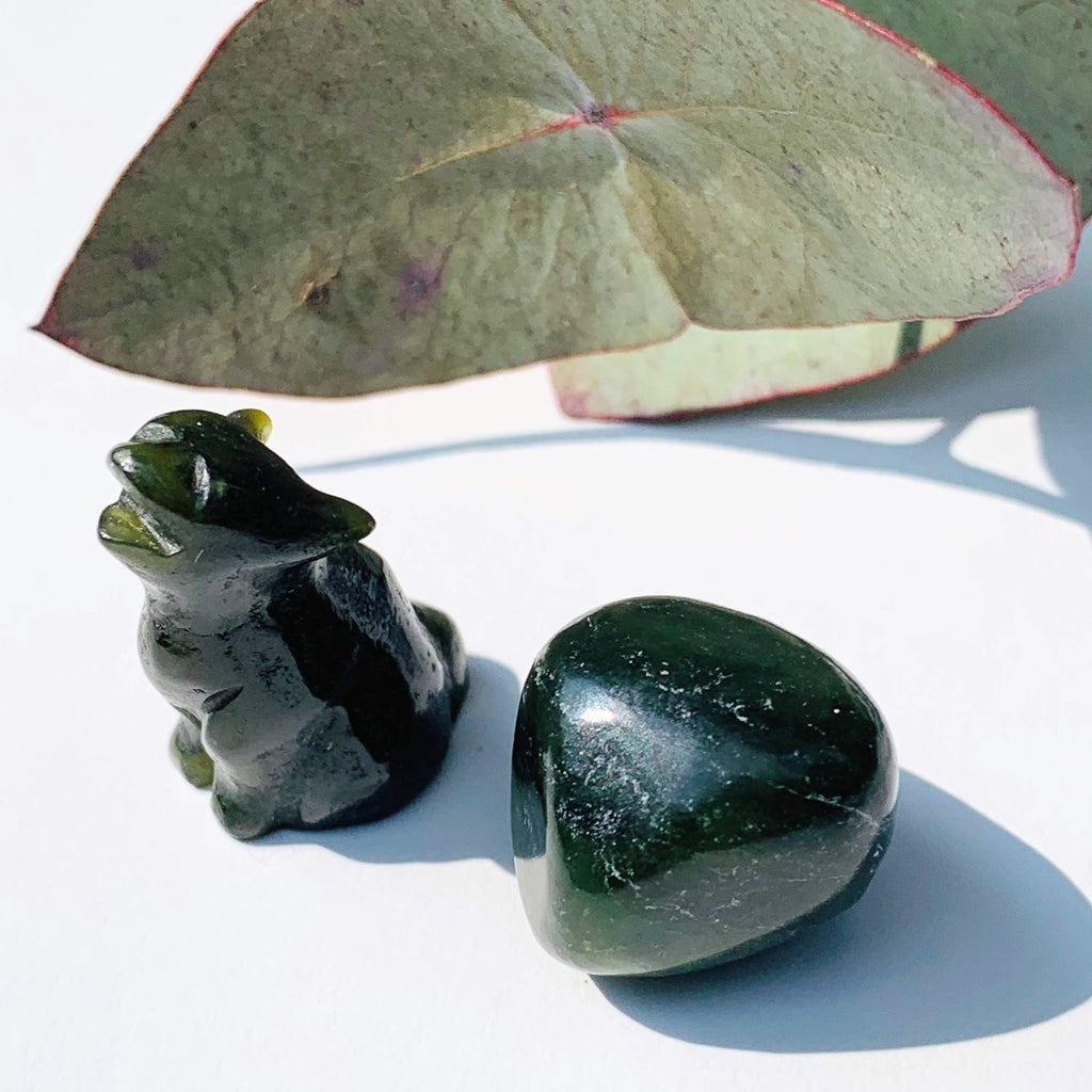 Set of Green BC Jade Mini Coyote & Tumbled Stone - Earth Family Crystals