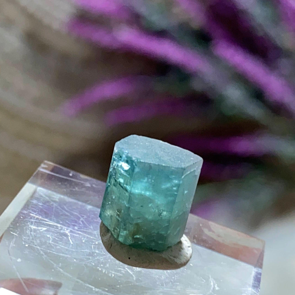 Rare California Find! 10.5CT Indicolite Blue Tourmaline Terminated Point ~Locality: Oceanside, California - Earth Family Crystals