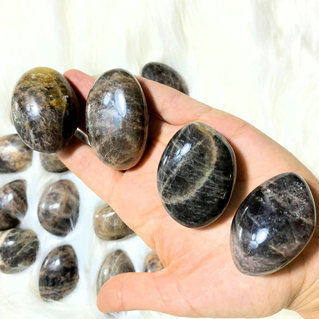 One Shimmering Black Moonstone Palm Stone~Locality Madagascar - Earth Family Crystals