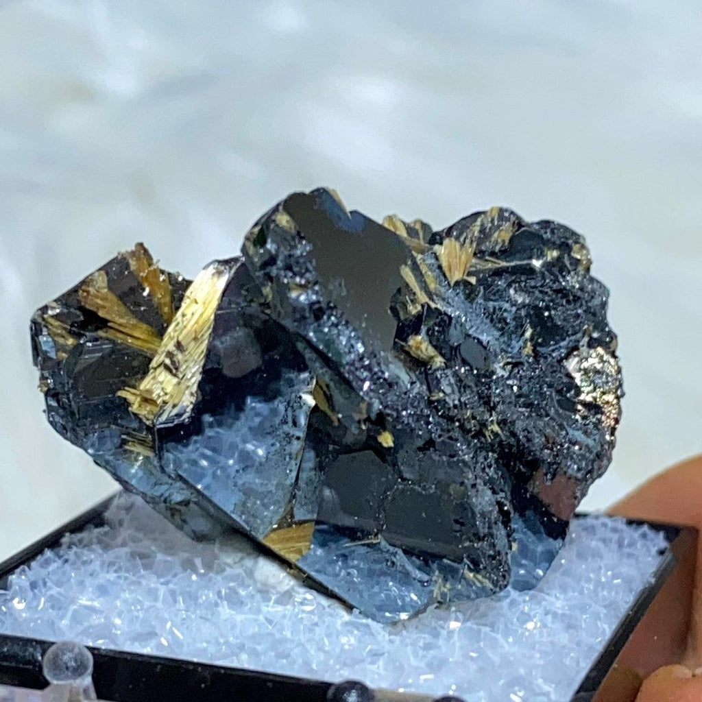 Rare Golden Rutile & Hematite Collectors Specimen ~Locality: Novo Horizonte, Bahia, Brazil - Earth Family Crystals