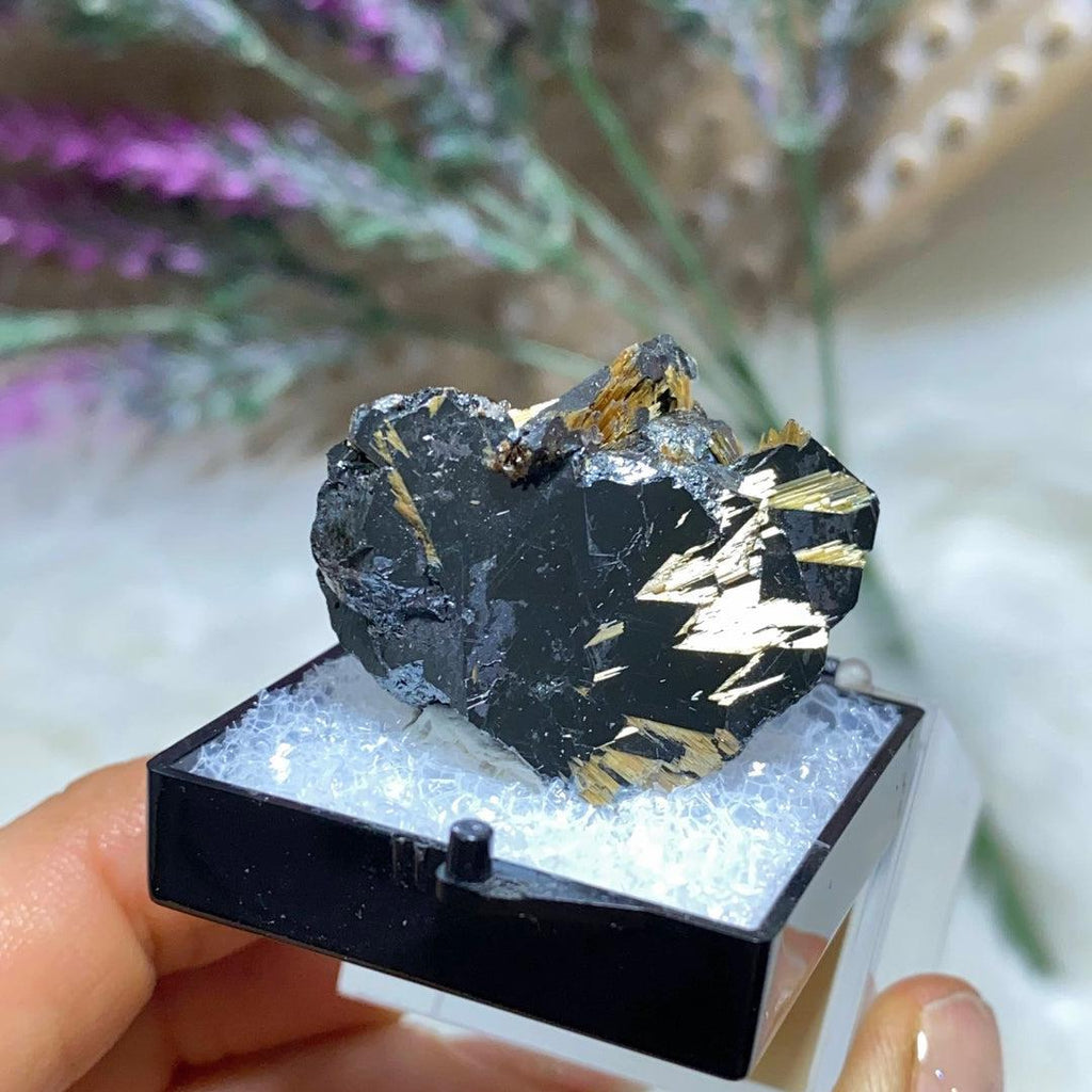 Rare Golden Rutile & Hematite Collectors Specimen ~Locality: Novo Horizonte, Bahia, Brazil - Earth Family Crystals