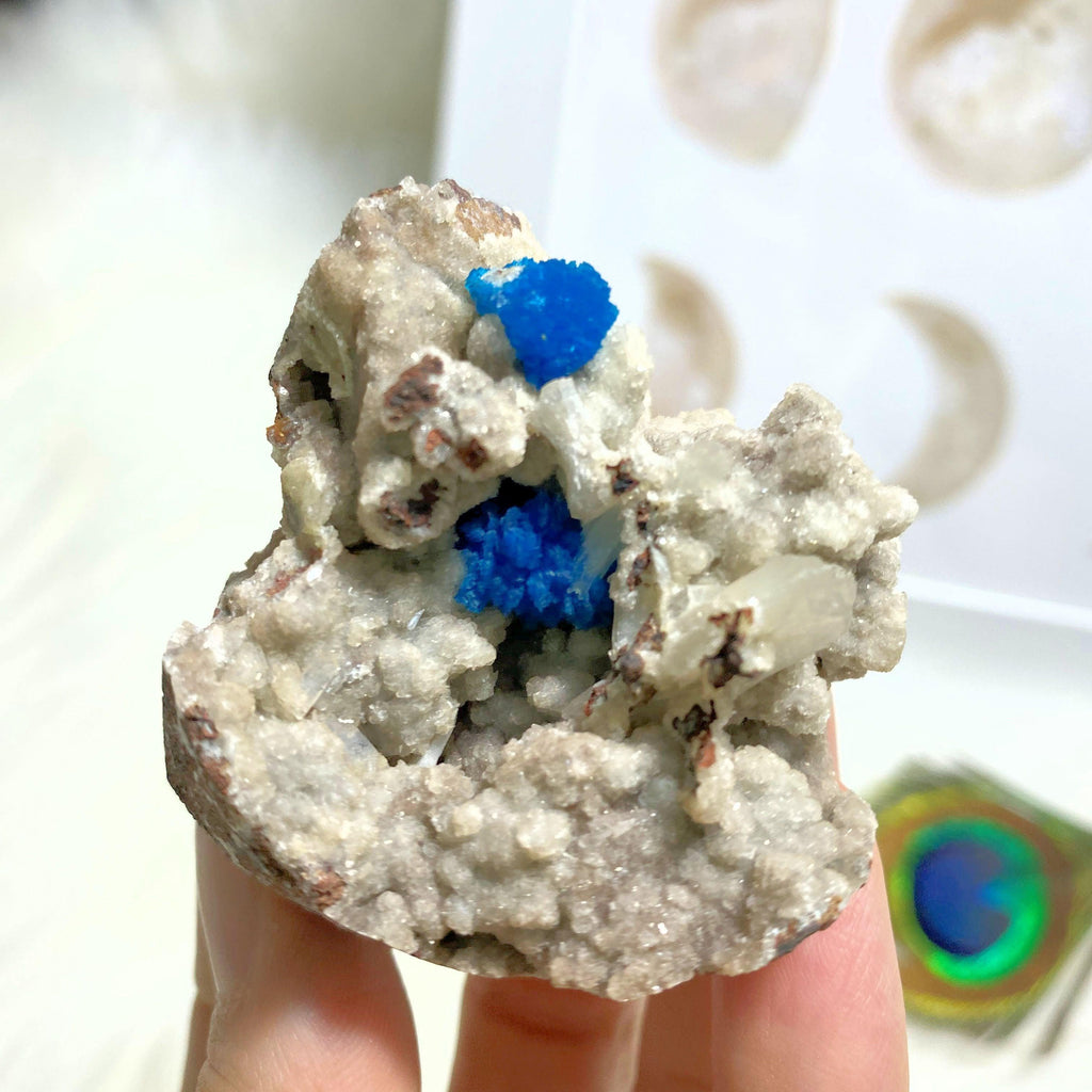 High Grade Electric Blue Cavansite Clusters in Sparkly Druzy Stilbite Matrix From India - Earth Family Crystals