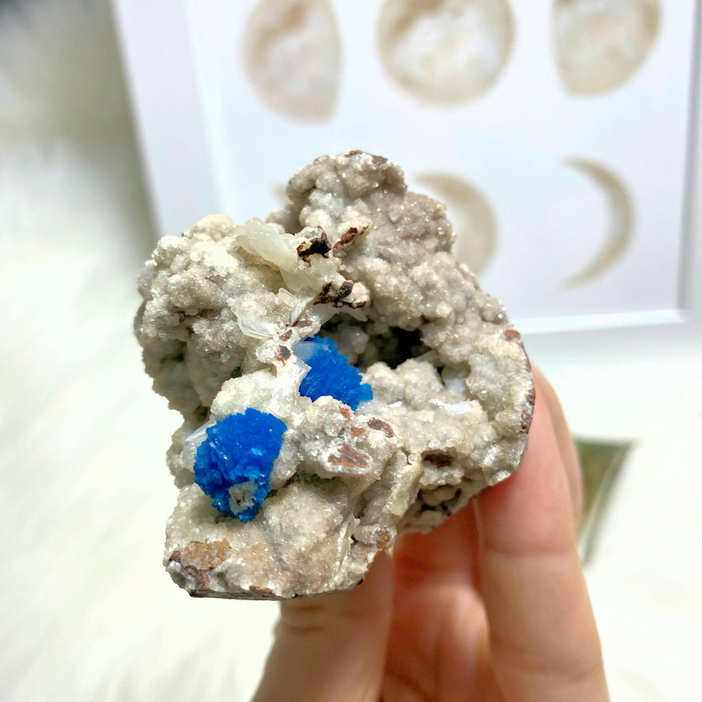 High Grade Electric Blue Cavansite Clusters in Sparkly Druzy Stilbite Matrix From India - Earth Family Crystals
