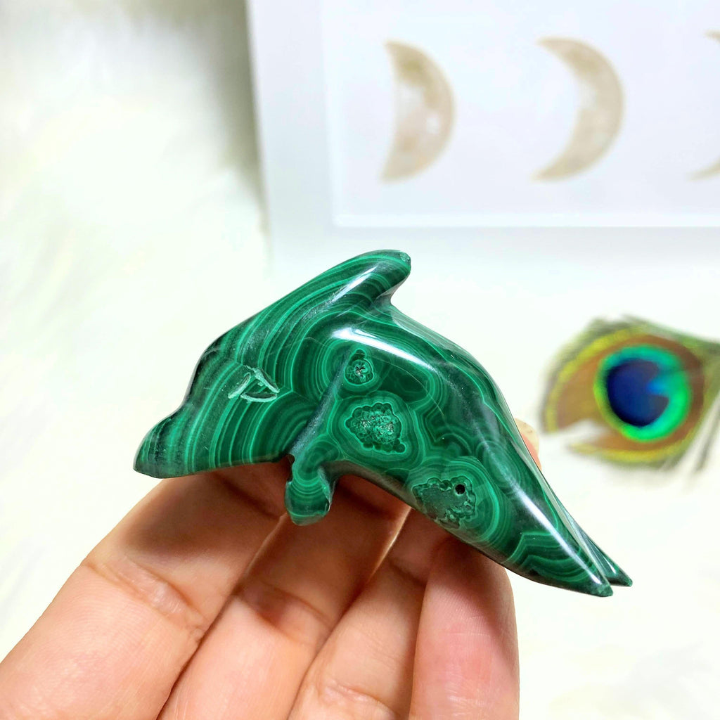 Malachite Dolphin Display Carving - Earth Family Crystals
