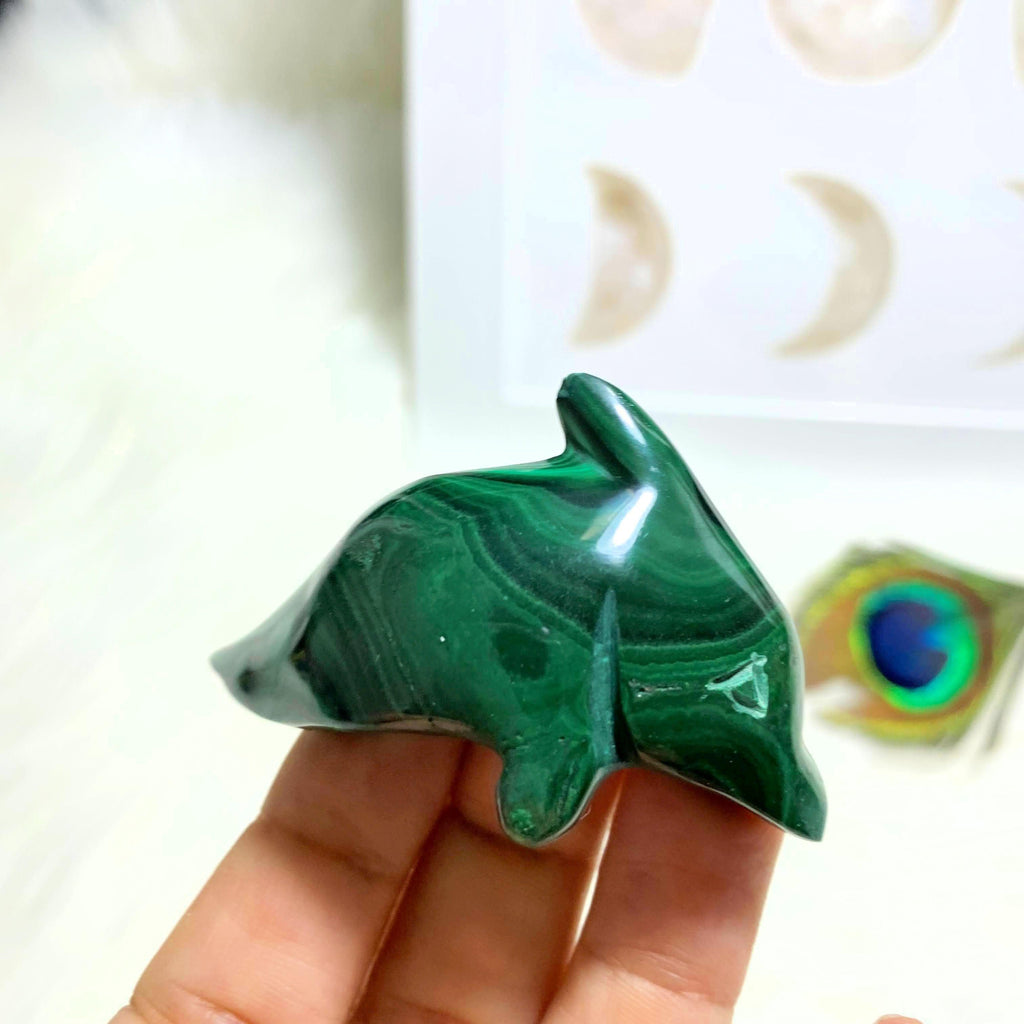 Malachite Dolphin Display Carving - Earth Family Crystals