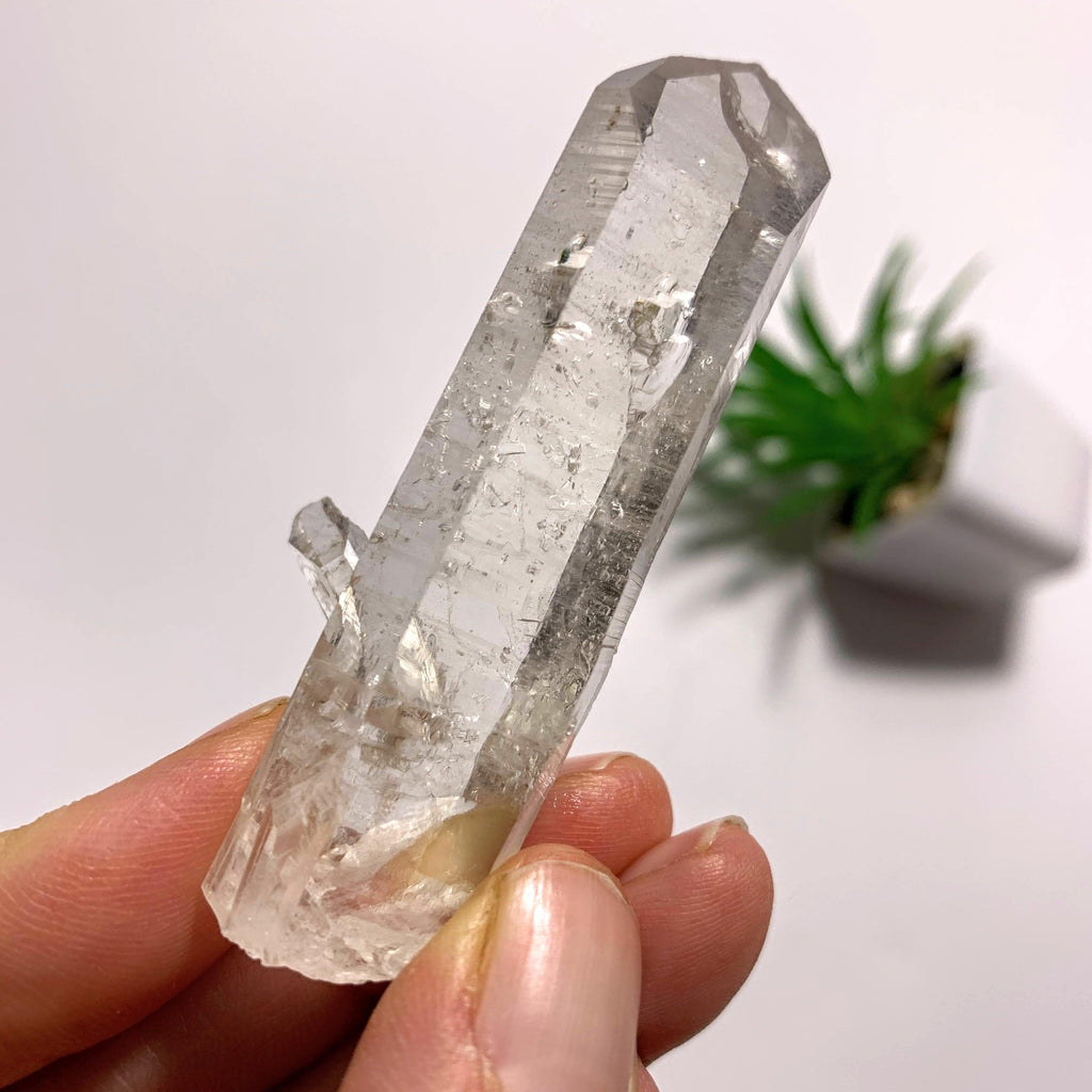 Arkansas Natural Clear Quartz Point Specimen - Earth Family Crystals