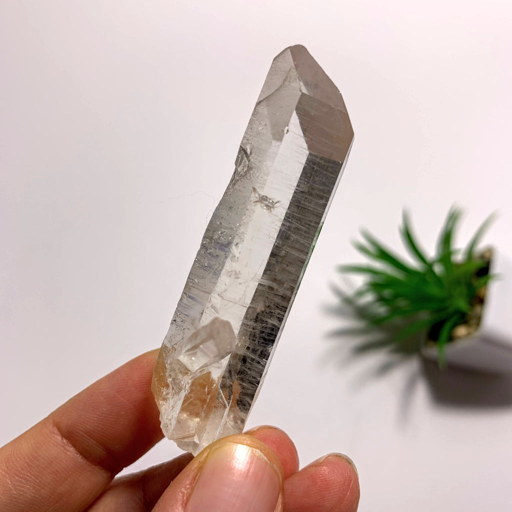 Arkansas Natural Clear Quartz Point Specimen - Earth Family Crystals