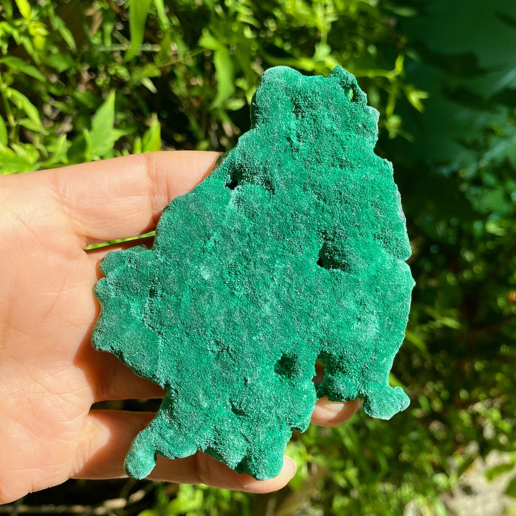 Rare Fibrous Natural Green Malachite Collectors Specimen - Earth Family Crystals