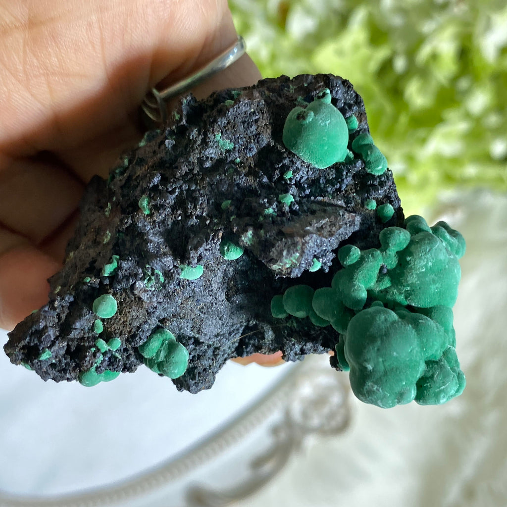 old collection Bisbee, Arizona Natural Malachite on matrix - Earth Family Crystals