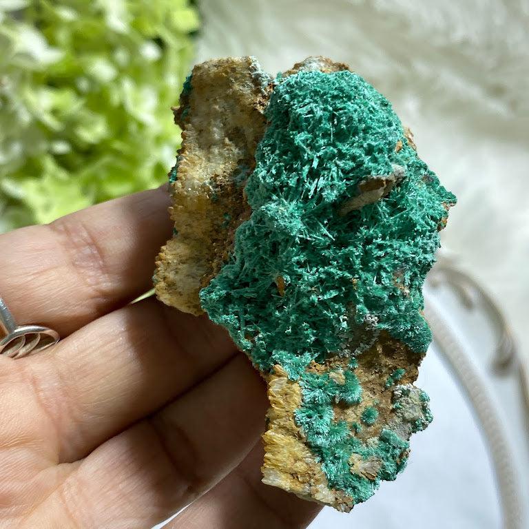 Old collection Brochantite from Grandview Mine, Arizona - Earth Family Crystals