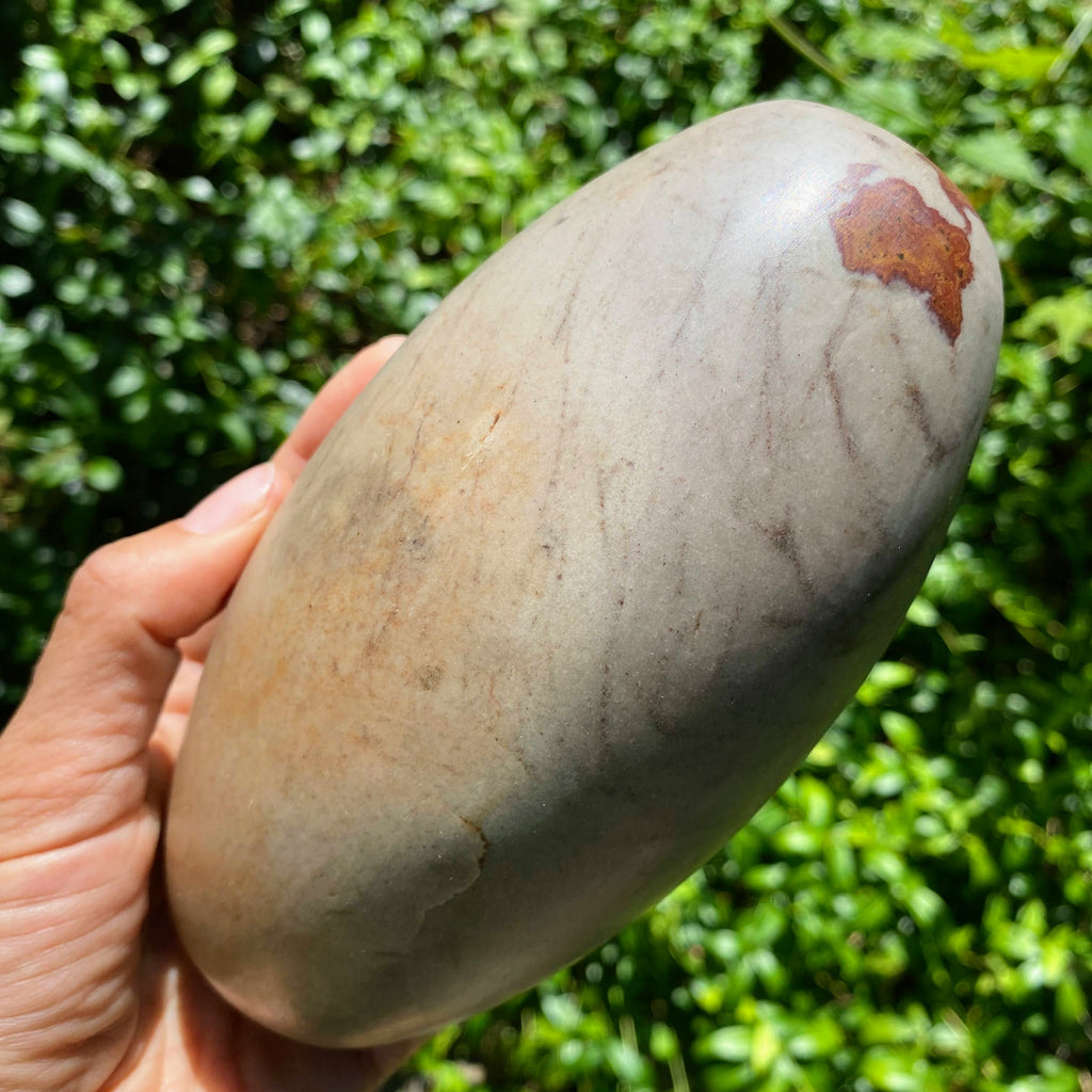 Jaw Dropping~ XXL 1.5 kg Natural Sacred Shiva Lingam Specimen From India - Earth Family Crystals