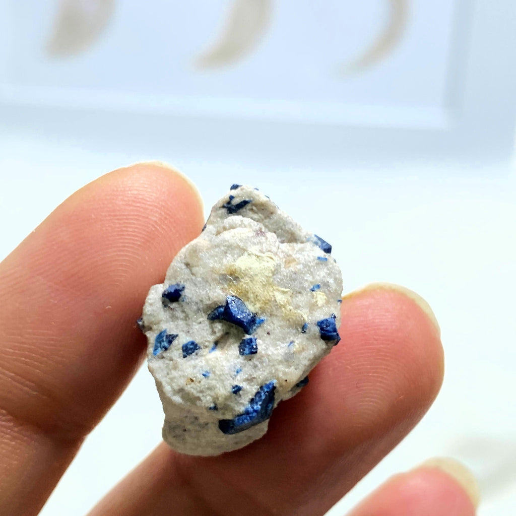 Blue Lazurite in Matrix Rough Dainty Collectors Specimen - Earth Family Crystals