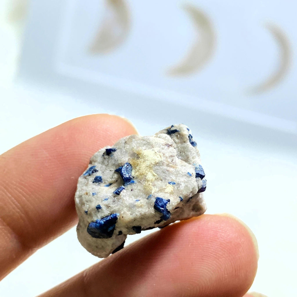 Blue Lazurite in Matrix Rough Dainty Collectors Specimen - Earth Family Crystals