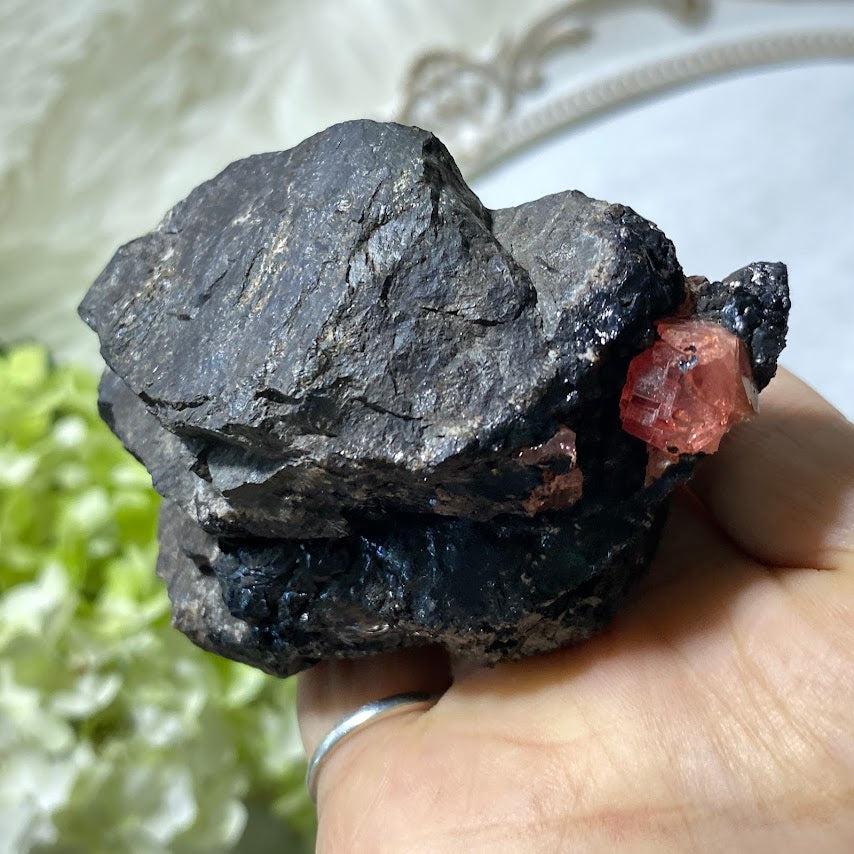 Gemmy Pink Rhodochrosite on Black Maganese matrix from Lima, Peru - Earth Family Crystals