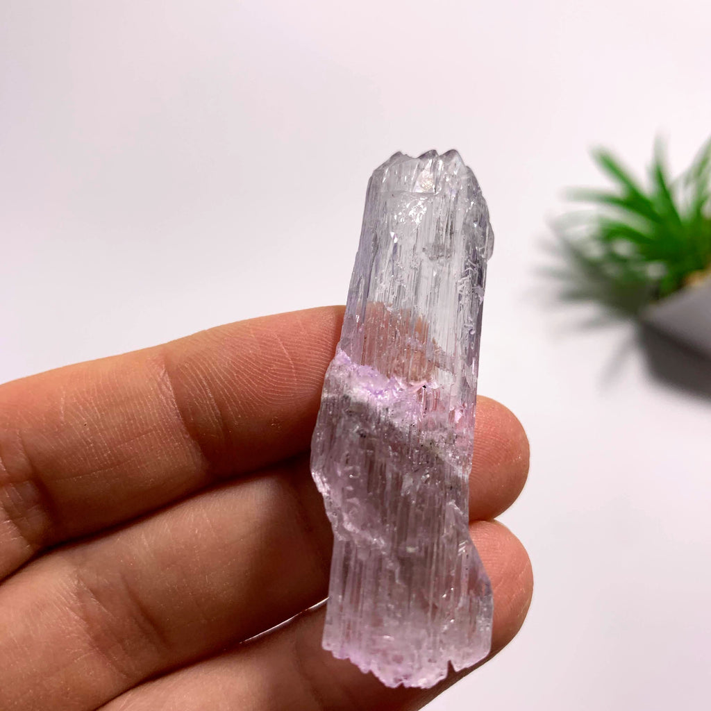 Gemmy Double Terminated Natural Lavender Kunzite Specimen  From Brazil  #1 - Earth Family Crystals