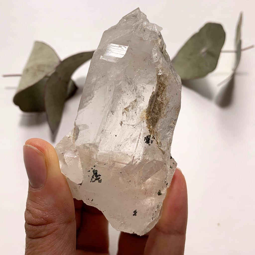 Rare Locality! Nepal Clear Quartz Natural Gemmy Point Specimen From The Himalaya Mountains - Earth Family Crystals
