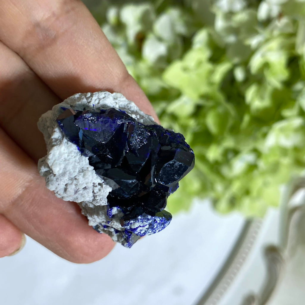 Millipias Mexico Crystalline Collecots Azurite - Earth Family Crystals