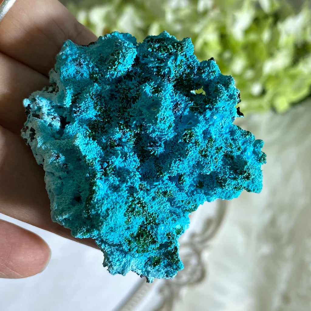 Very rare Chrysocolla/Malachite Psuedomorph of azurite #1 - Earth Family Crystals